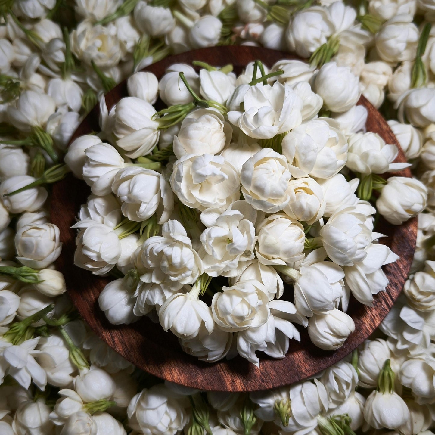 Mogra Fragrance Oil - 100g