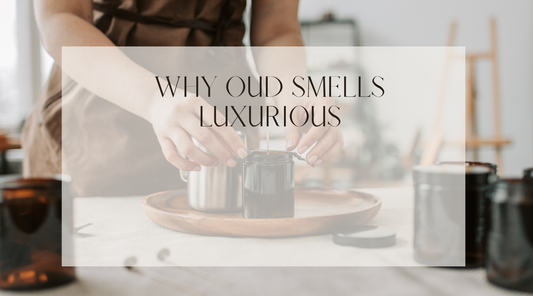 Why Oud Smells Luxurious