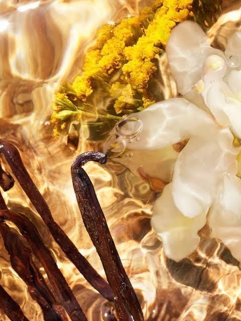 Sacred Sandal Ember Fragrance Oil