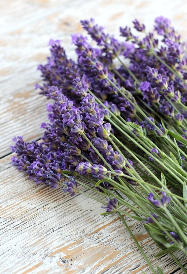 Lavender fragrance oil for candles, wax melts and diffusers