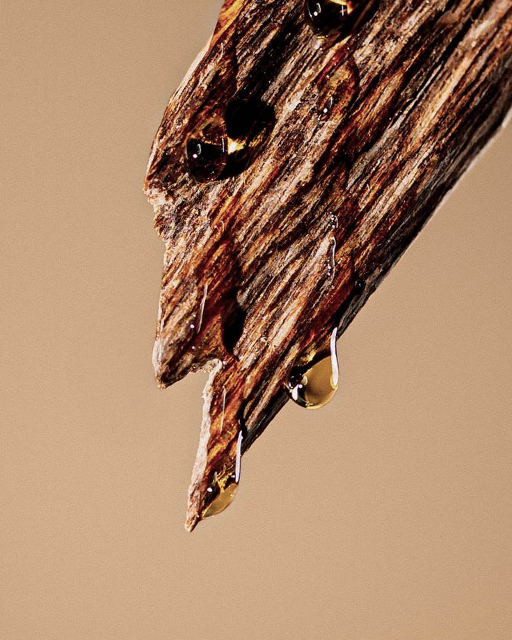 Royal Oud – The Epitome of Refined Luxury