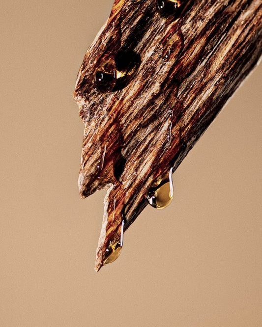 Royal Oud – The Epitome of Refined Luxury