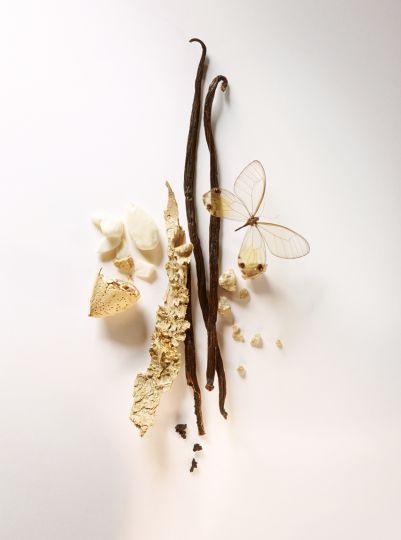 Dark Vanilla fragrance oil for candle making